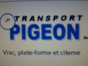 flotte transport pigeon.jpg
